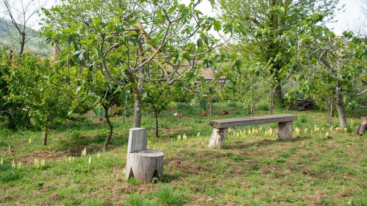 Bed and Breakfast L'Arcadia Giffoni Sei Casali Zewnętrze zdjęcie