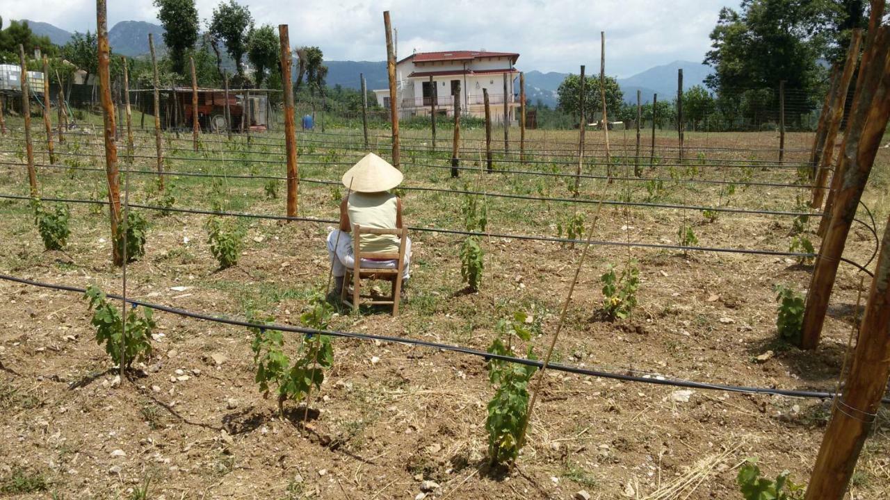 Bed and Breakfast L'Arcadia Giffoni Sei Casali Zewnętrze zdjęcie